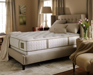 Cách phân biệt và chọn mua 4 loại nệm cơ bản